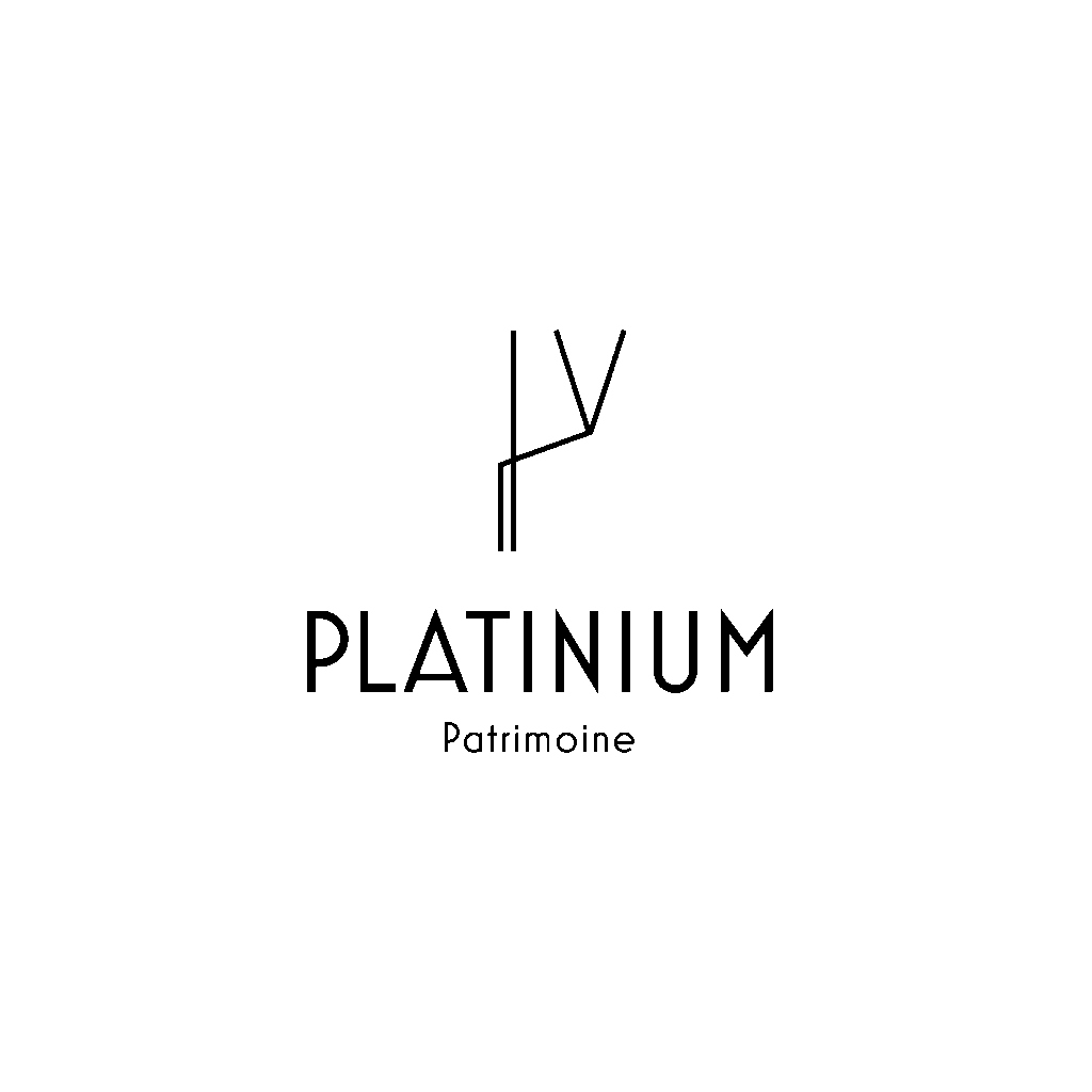 Logotype platinium noir
