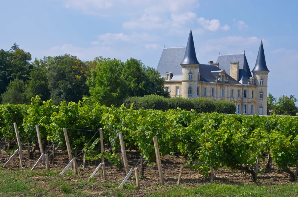 Investir-dans-un-groupement-viticole-avec-Platinium-patrimoine