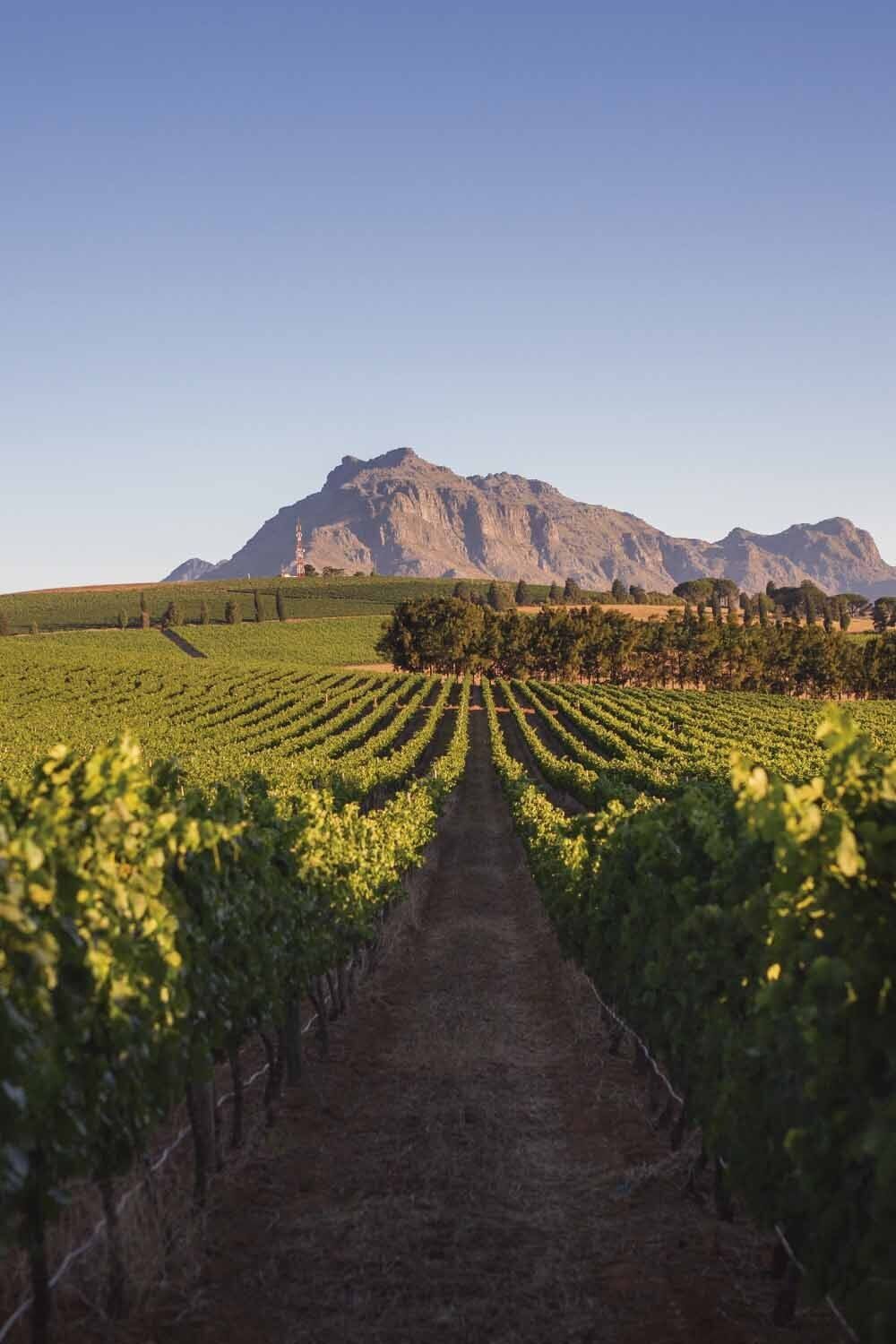 15ce1624590eac9297f5eff992c928d6