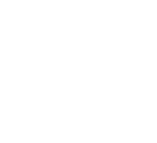 Platinium Patrimoine