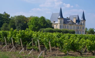 Investir-dans-un-groupement-viticole-avec-Platinium-patrimoine